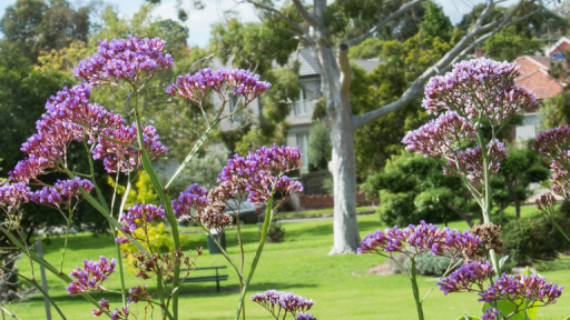 Fordham Gardens